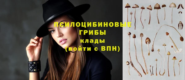 винт Армянск